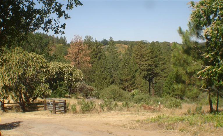 46542 Dunlap Road Miramonte, CA 93641 - Photo 10 of 26 Gallery Image 10