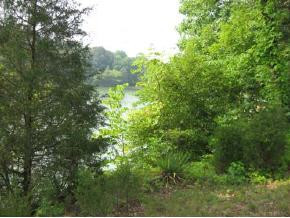 3 Boring Chapel Road, Unit 3 Gray, TN 37615 - Photo 2 of 9 Photo 2
