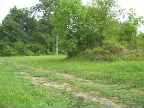 3 Boring Chapel Road, Unit 3 Gray, TN 37615 - Photo 5 of 9 Photo 5