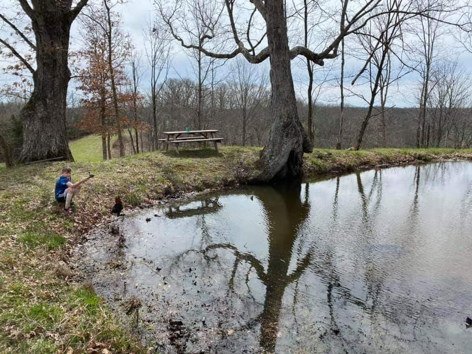 0 Owenton Road Stamping Ground, KY 40379 - Photo 14 of 17 Photo 14