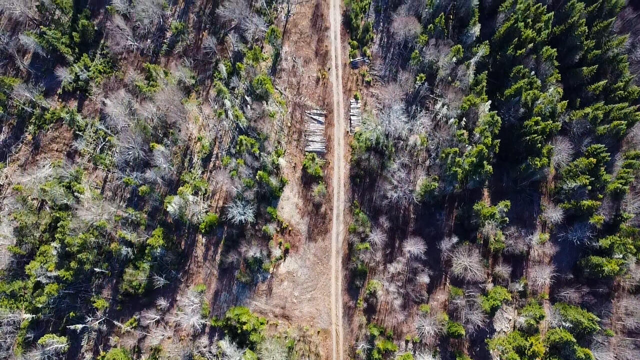 04 Lots Road Whiting, ME 04691 - Photo 10 of 12 aerial view