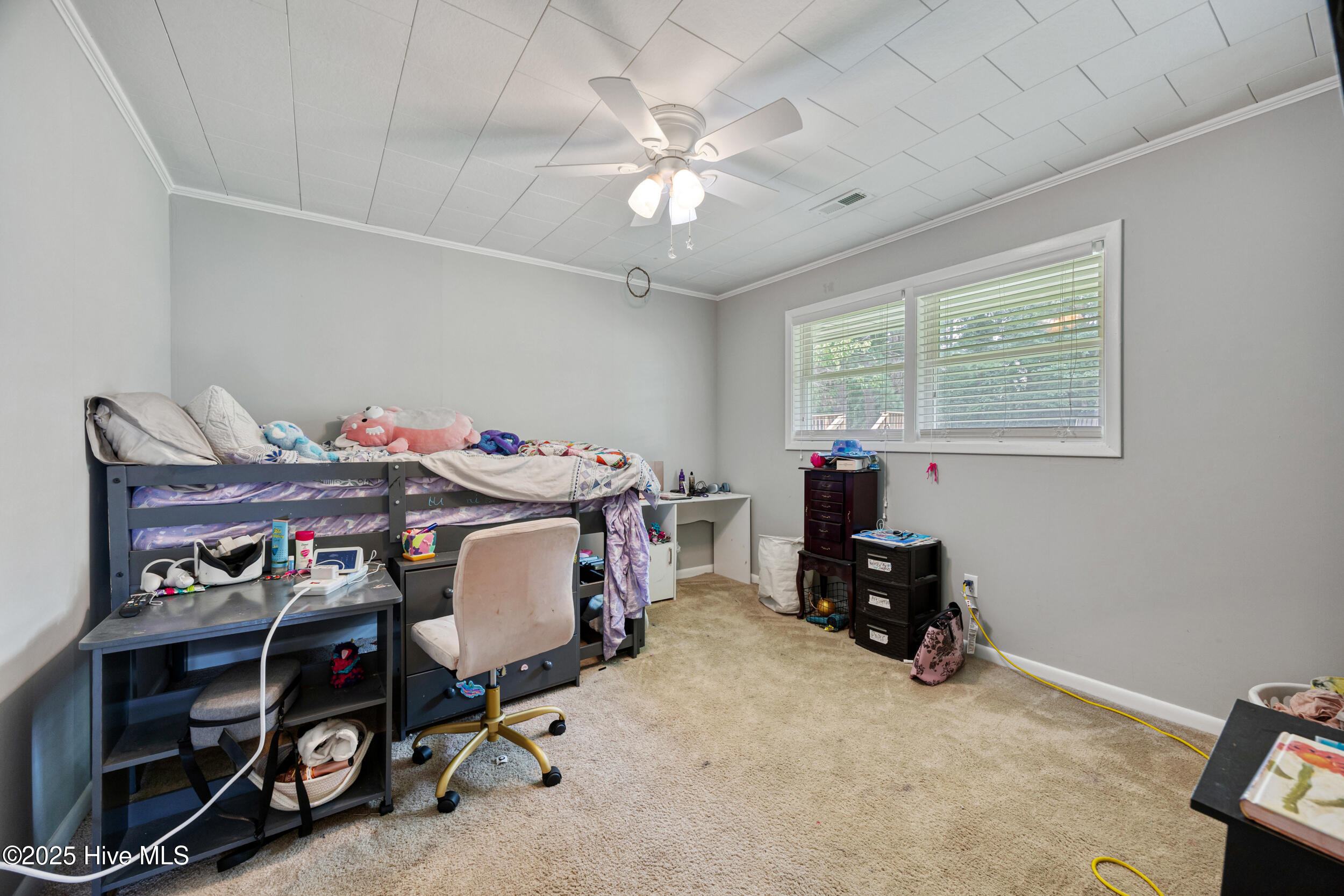 119 Upton Road Camden, NC 27921 - Photo 17 of 27 _39A2212