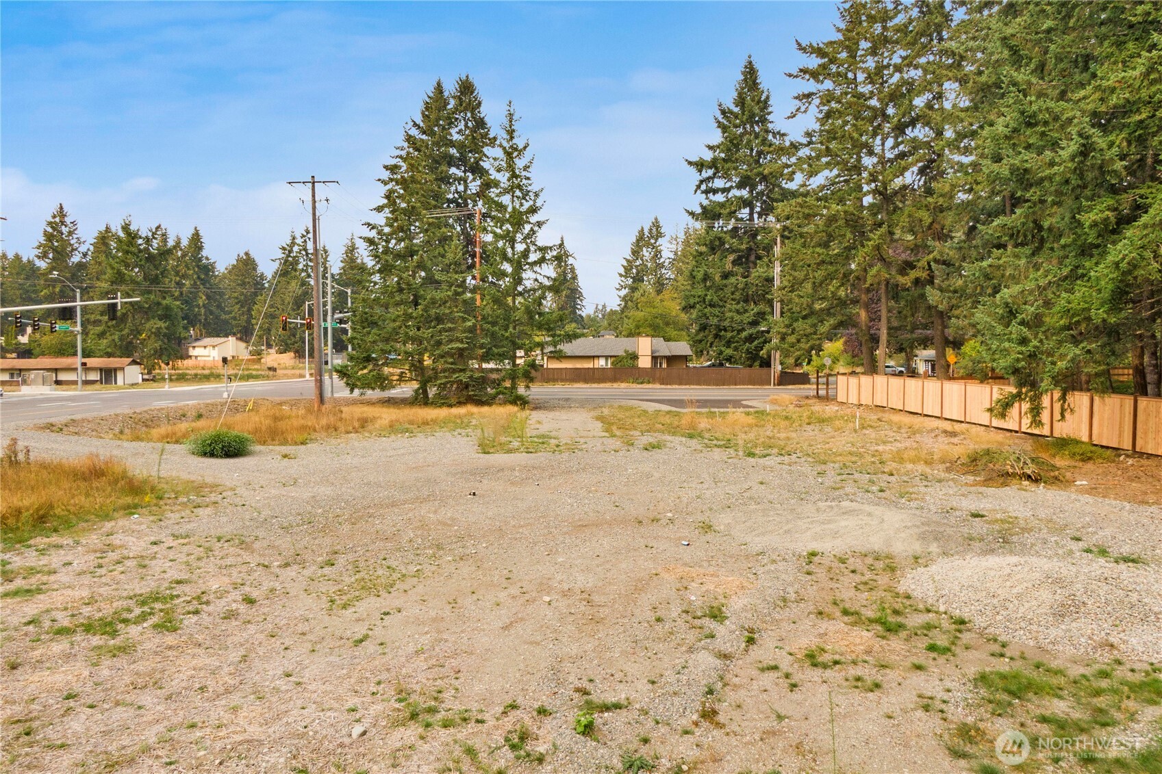 20831 Canyon Road East Spanaway, WA 98387 - Photo 8 of 13 a view of ocean view with large trees