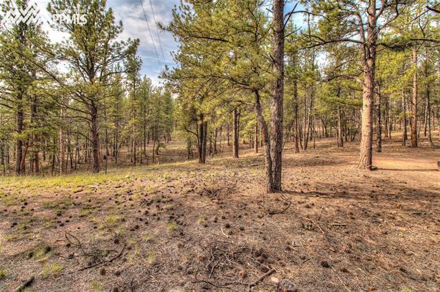 94 Pickens Road Florissant, CO 80816 - Photo 16 of 22