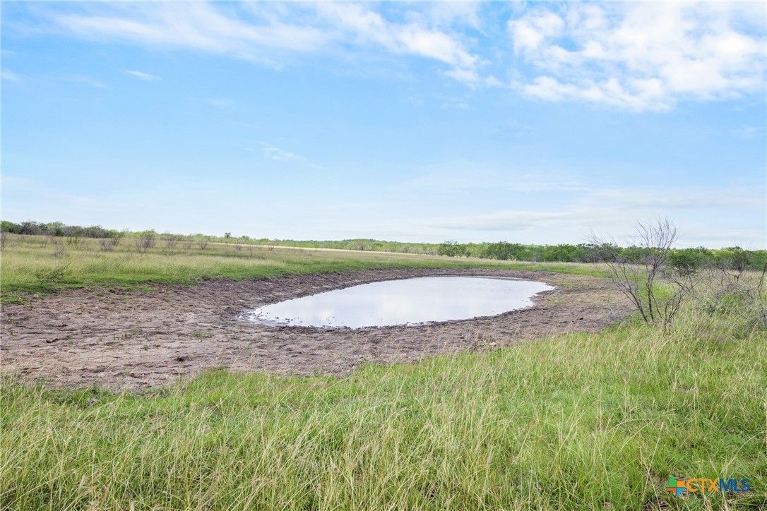 1190 Dickerson Road Lockhart, TX 78644 - Photo 21 of 40