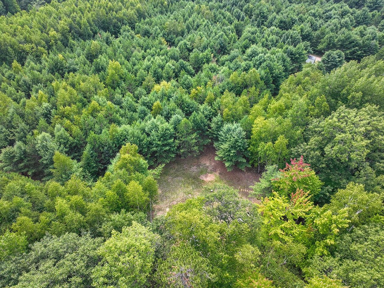 Lot 2 O Neil Road Eagle River, WI 54521 - Photo 6 of 23 Gallery Image 6
