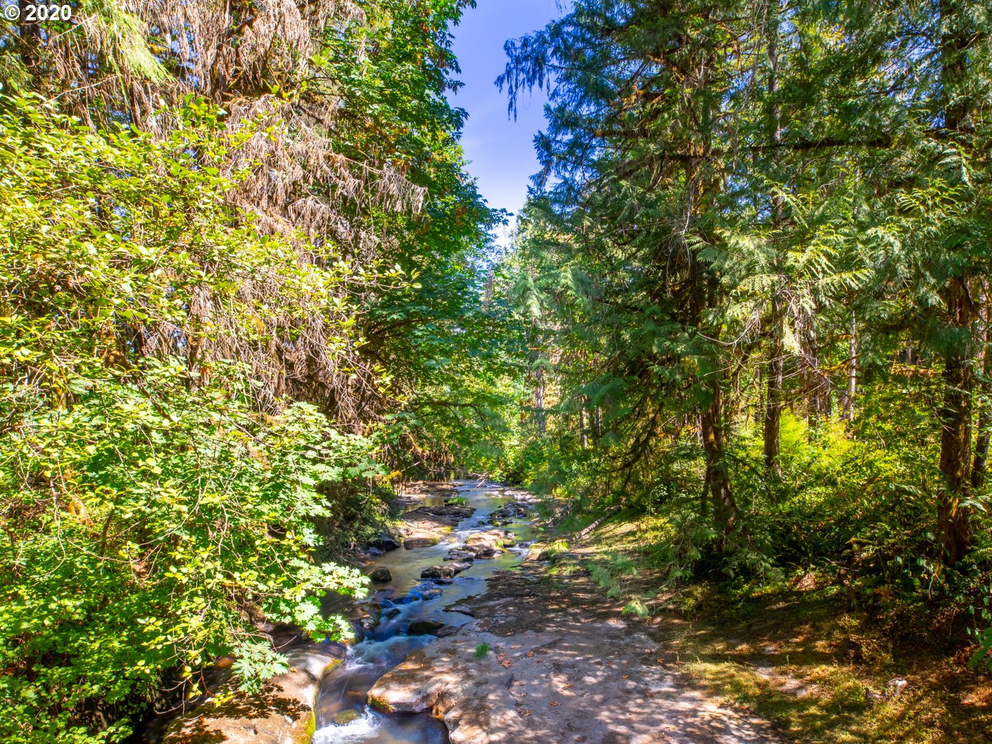 40268 Mohawk River Road Marcola, OR 97454 - Photo 30 of 31