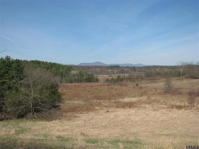 0 Howard Hall Road Athens, NY 12015 - Photo 4 of 5 Photo 4