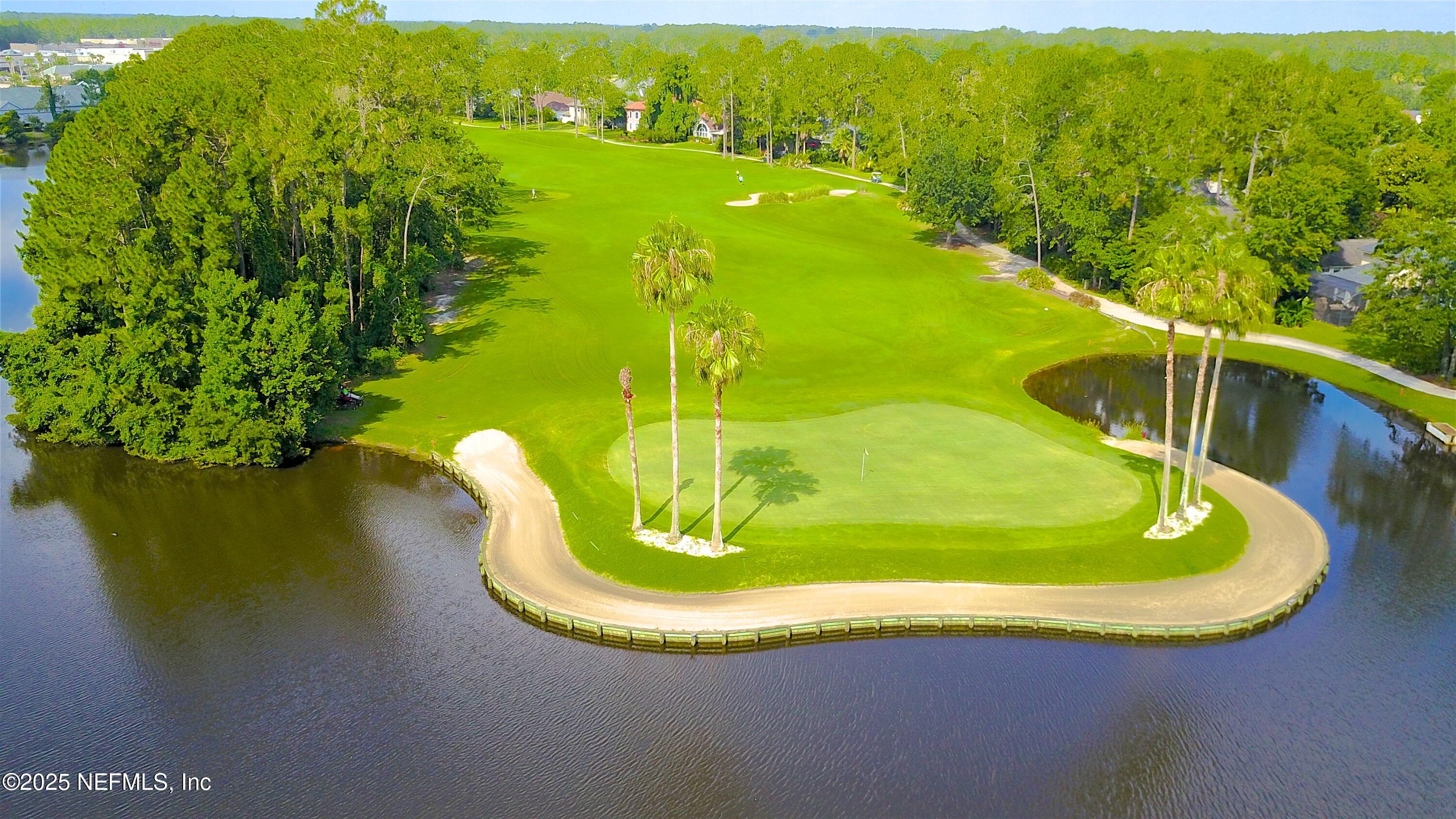 1475 Course View Drive Fleming Island, FL 32003 - Photo 59 of 70 a view of a swimming pool