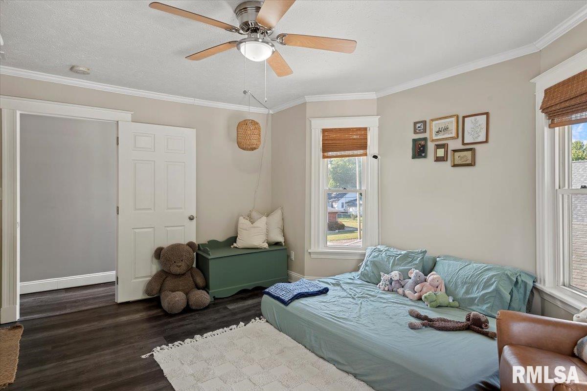 419 East Corwin Street Litchfield, IL 62056 - Photo 24 of 43