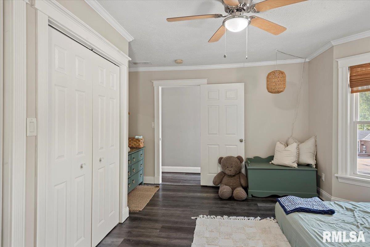 419 East Corwin Street Litchfield, IL 62056 - Photo 25 of 43