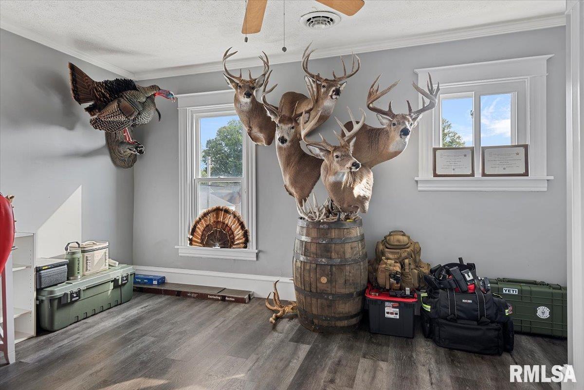 419 East Corwin Street Litchfield, IL 62056 - Photo 27 of 43