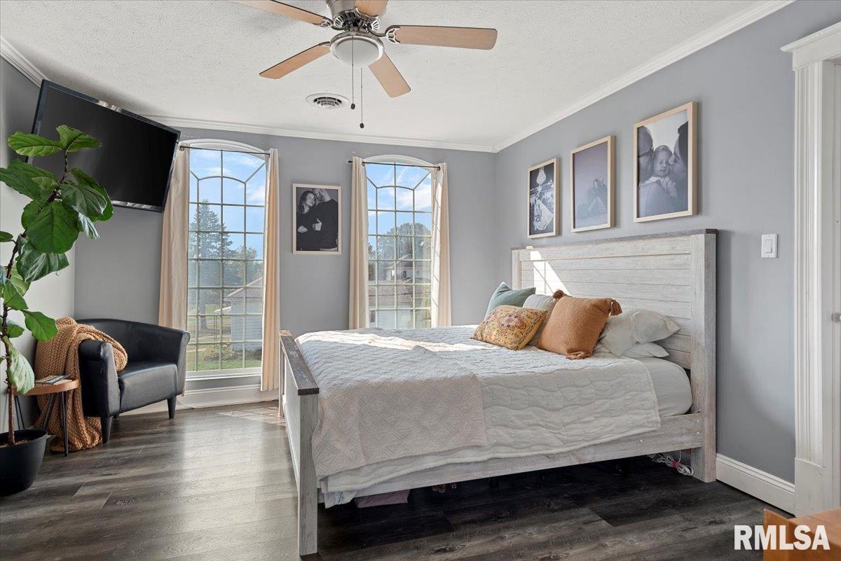 419 East Corwin Street Litchfield, IL 62056 - Photo 29 of 43