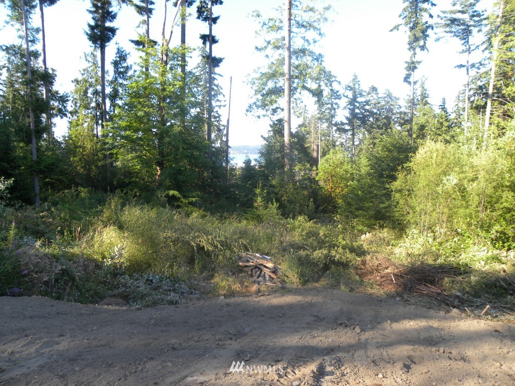 2048 Wagner Road Camano Island, WA 98282 - Photo 7 of 13 Gallery Image 7