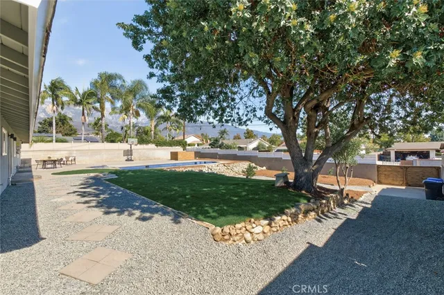 a view of a park with large trees