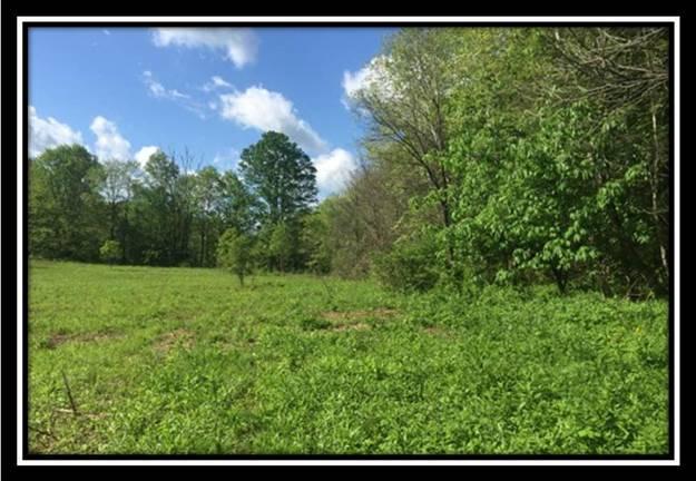 0 Poston-Salem Road Athens, OH 45701 - Photo 4 of 8