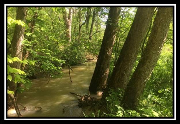 0 Poston-Salem Road Athens, OH 45701 - Photo 6 of 8