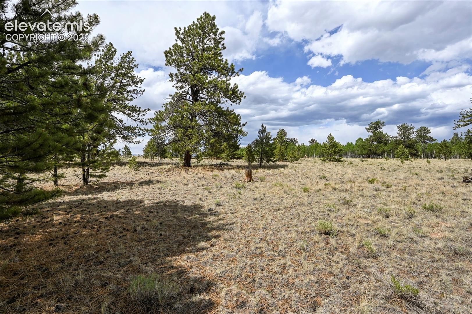 614 Yellowstone Road Hartsel, CO 80449 - Photo 14 of 42 Gallery Image 14