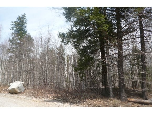 54 Province Brook Road Chatham, NH 03813 - Photo 1 of 1