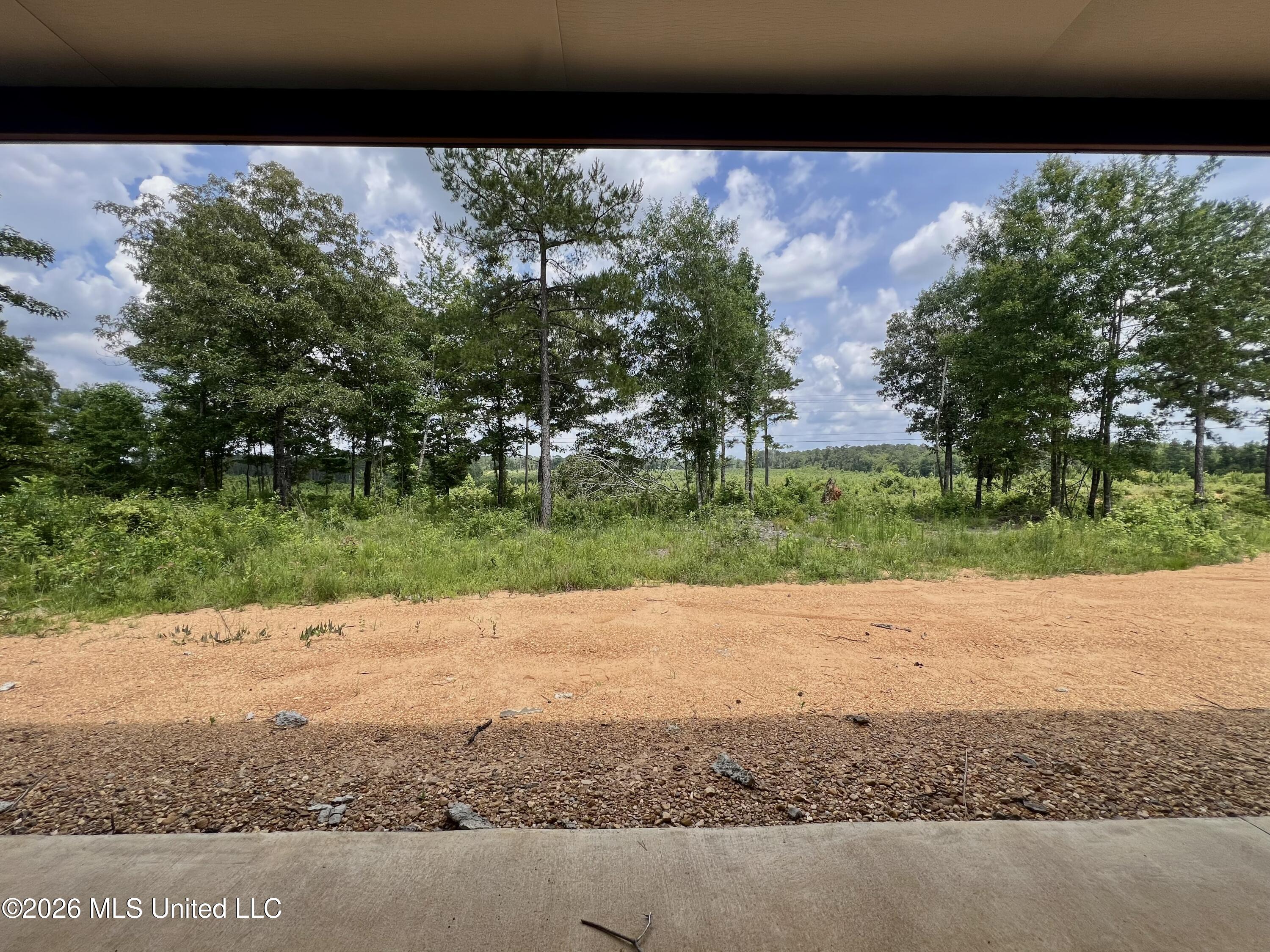 169 Holmesville Road Jayess, MS 39641 - Photo 7 of 12 IMG_6068