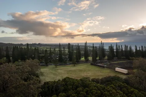 a view of outdoor space with city view
