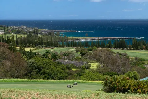 a view of a golf course with a swimming pool