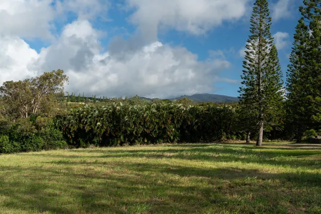 $1,500,000 | 221 Plantation Club Drive, Lahaina, HI 96761