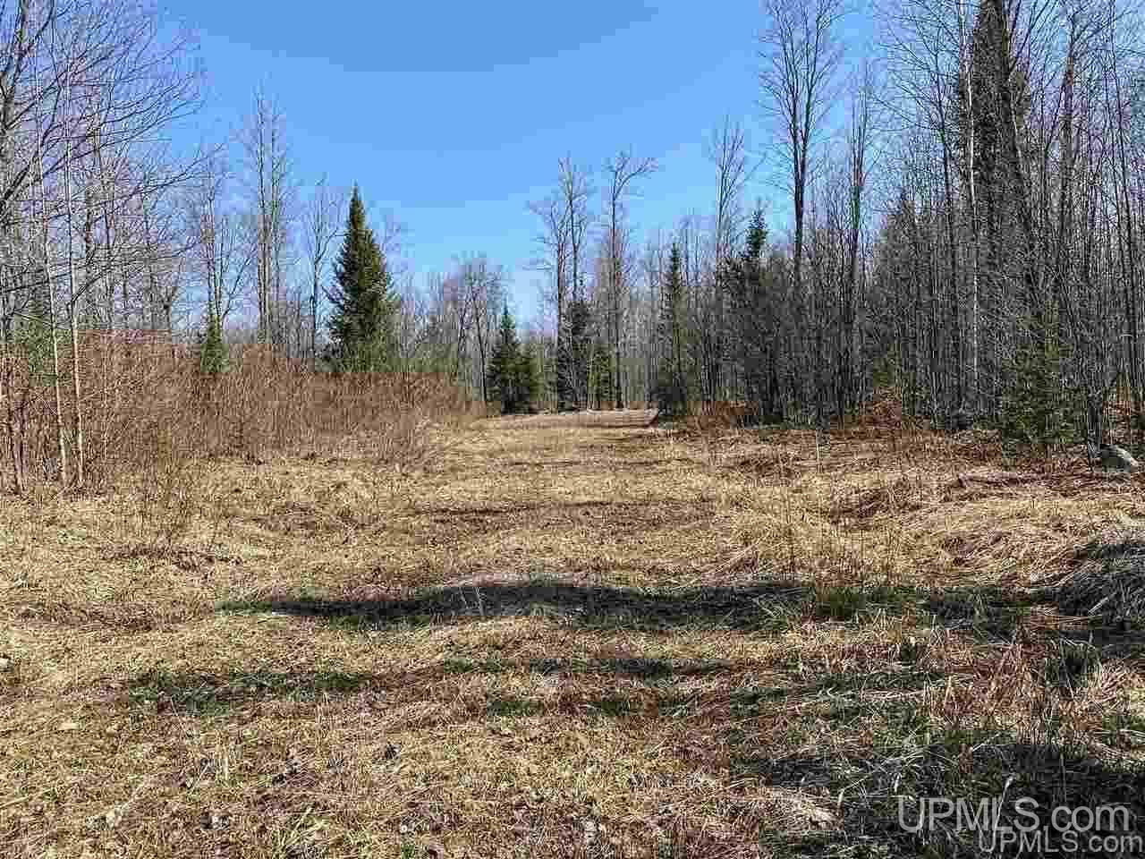 Off Nelson Road Glidden, WI 54527 - Photo 4 of 23