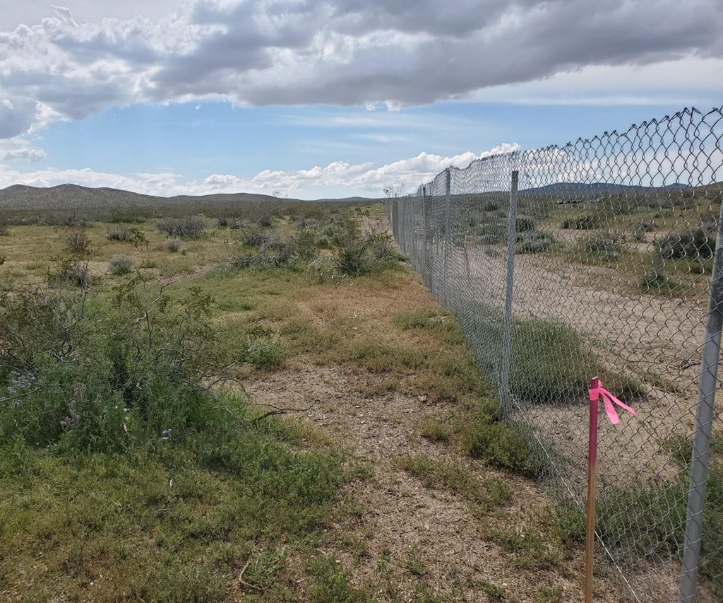 0 Richardson Road Adelanto, CA 92301 - Photo 1 of 9 a view of a dry yard