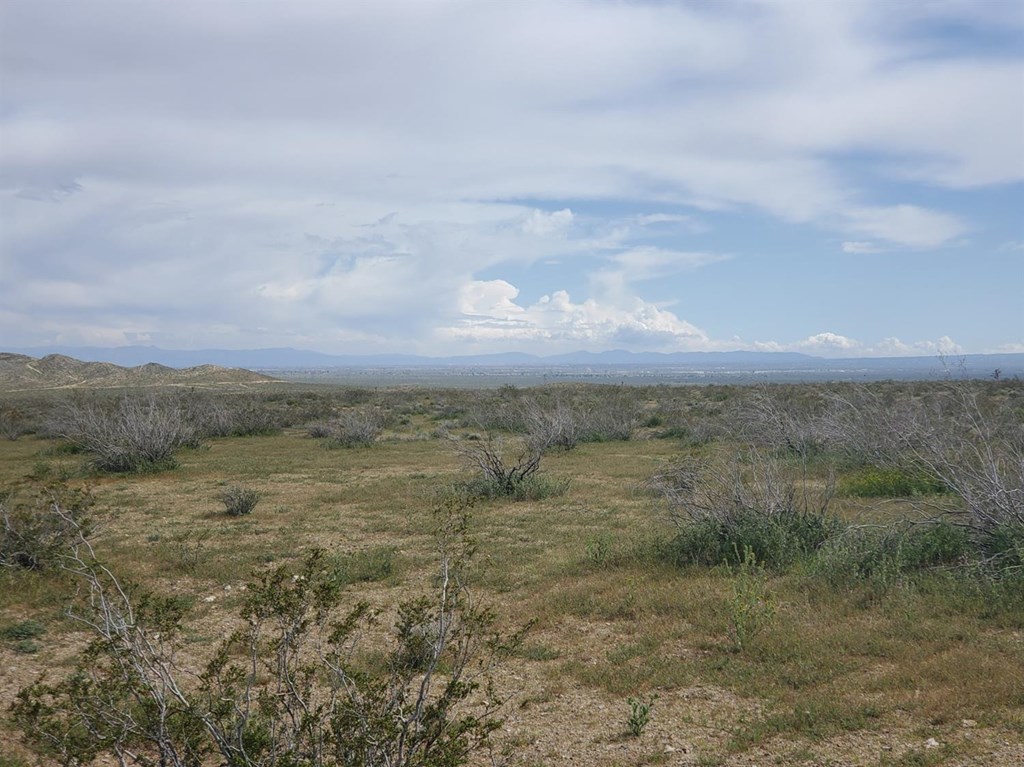 0 Richardson Road Adelanto, CA 92301 - Photo 6 of 9 a view of an outdoor space and a yard