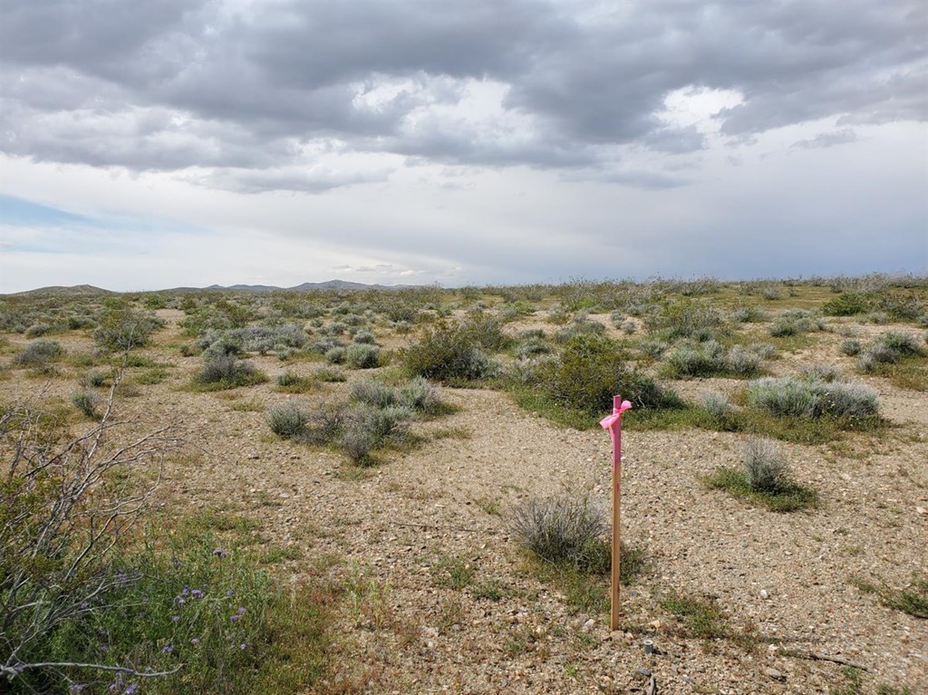 0 Richardson Road Adelanto, CA 92301 - Photo 8 of 9 a view of a city with green space