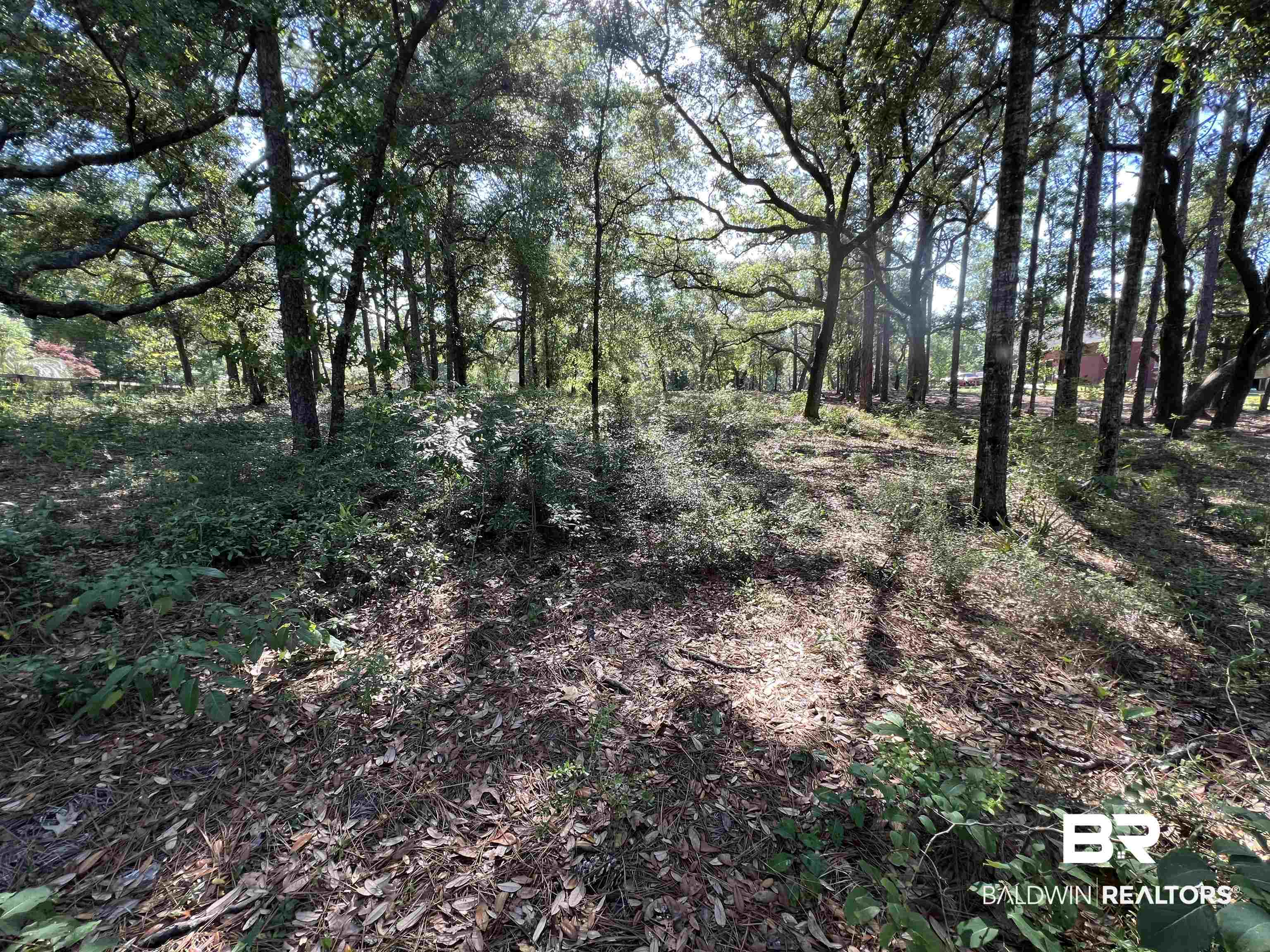 9545 North Bayou Road Lillian, AL 36549 - Photo 24 of 34 View of nature featuring a forest view