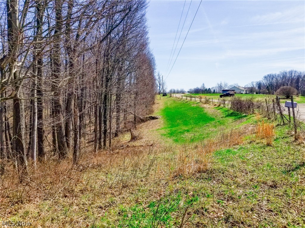 17805 Early Cemetary Road Kimbolton, OH 43749 - Photo 16 of 30 View of road with a view of countryside