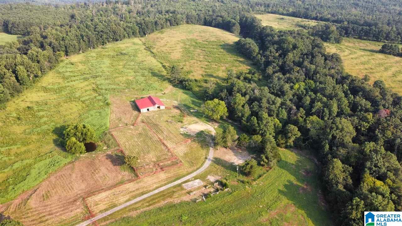 1946 Seven Bark Lane Oneonta, AL 35121 - Photo 32 of 33