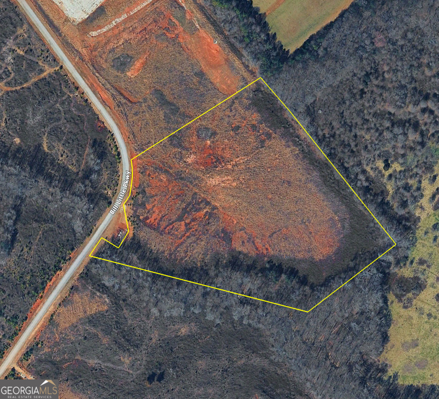 0 Bill Little Parkway Carnesville, GA 30521 - Photo 2 of 4