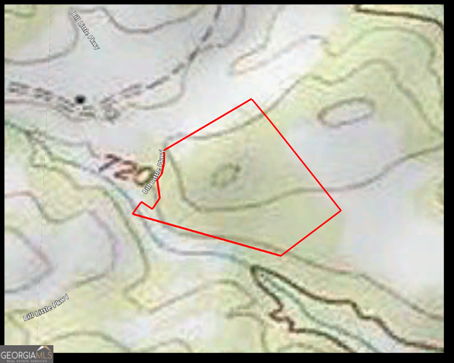 0 Bill Little Parkway Carnesville, GA 30521 - Photo 4 of 4