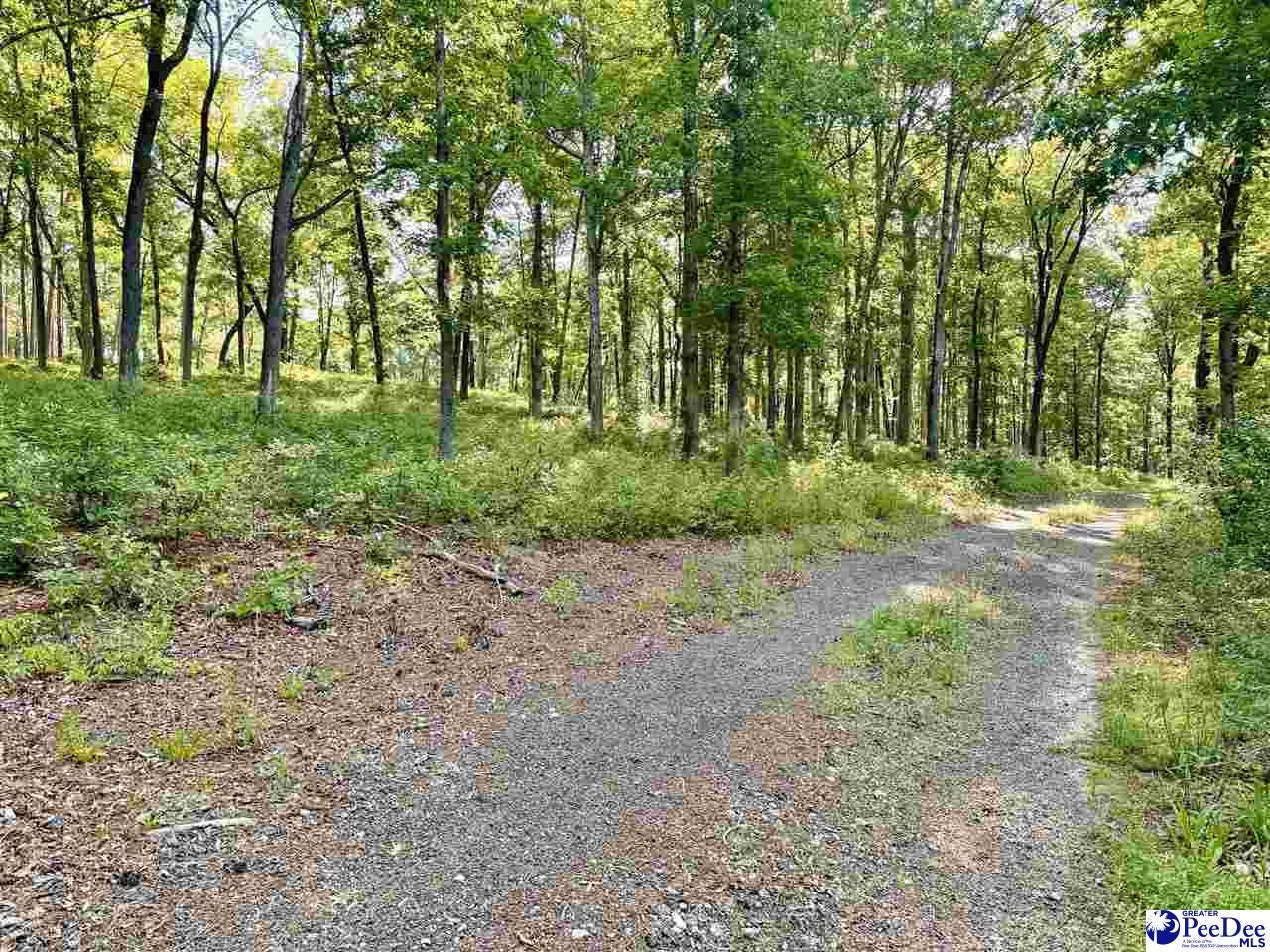 60-acres West Freight Road Florence, SC 29501 - Photo 16 of 27 Gallery Image 16