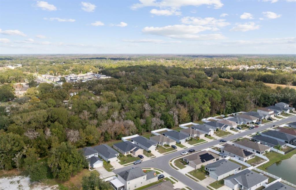 979 Pearly Ridge Lane Lakeland, FL 33809 - Photo 29 of 30