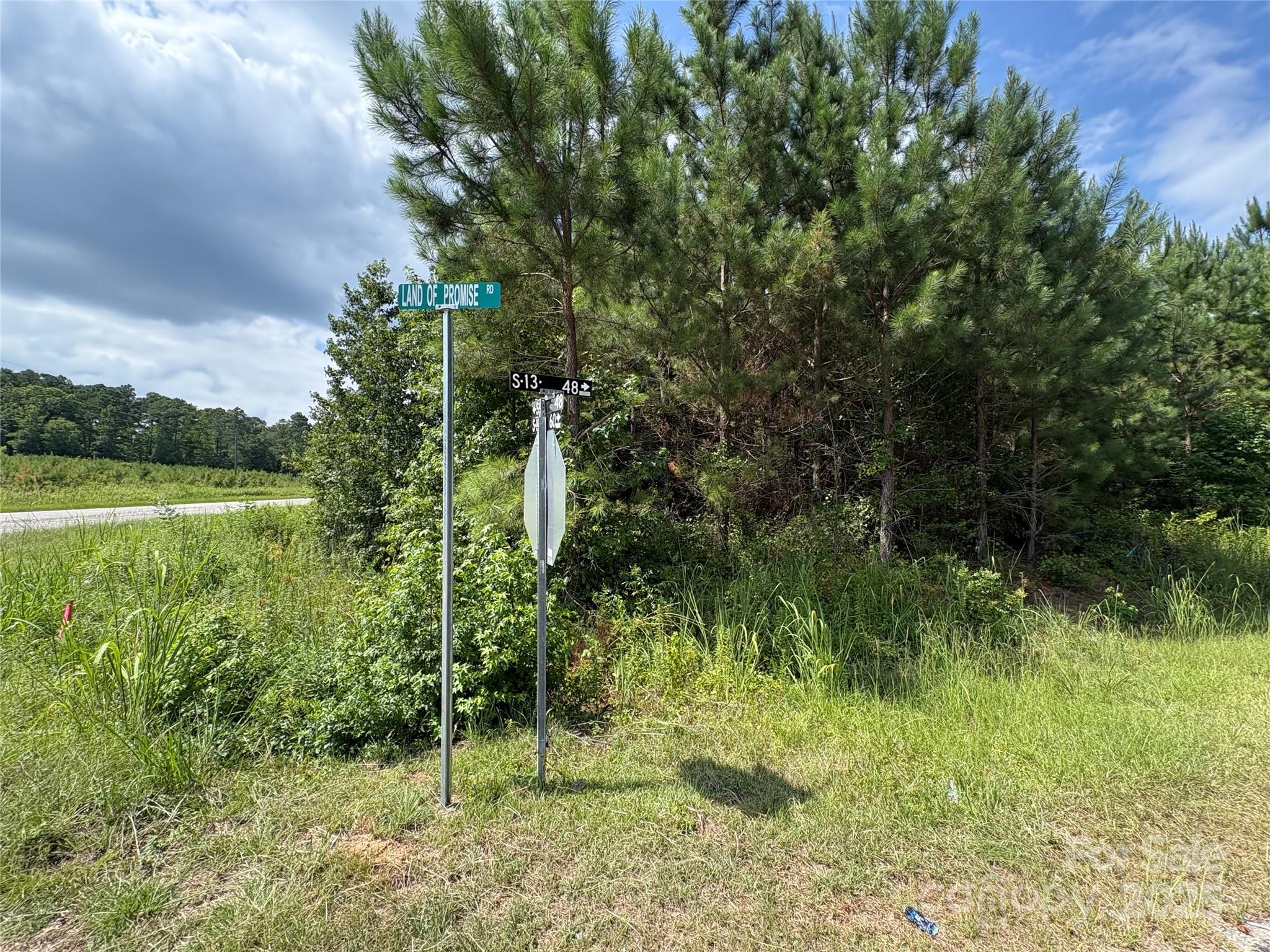 0 Jackson Road West Chesterfield, SC 29709 - Photo 13 of 18 a view of a garden with a lake