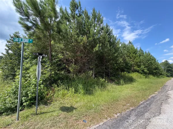 a view of a lush green forest