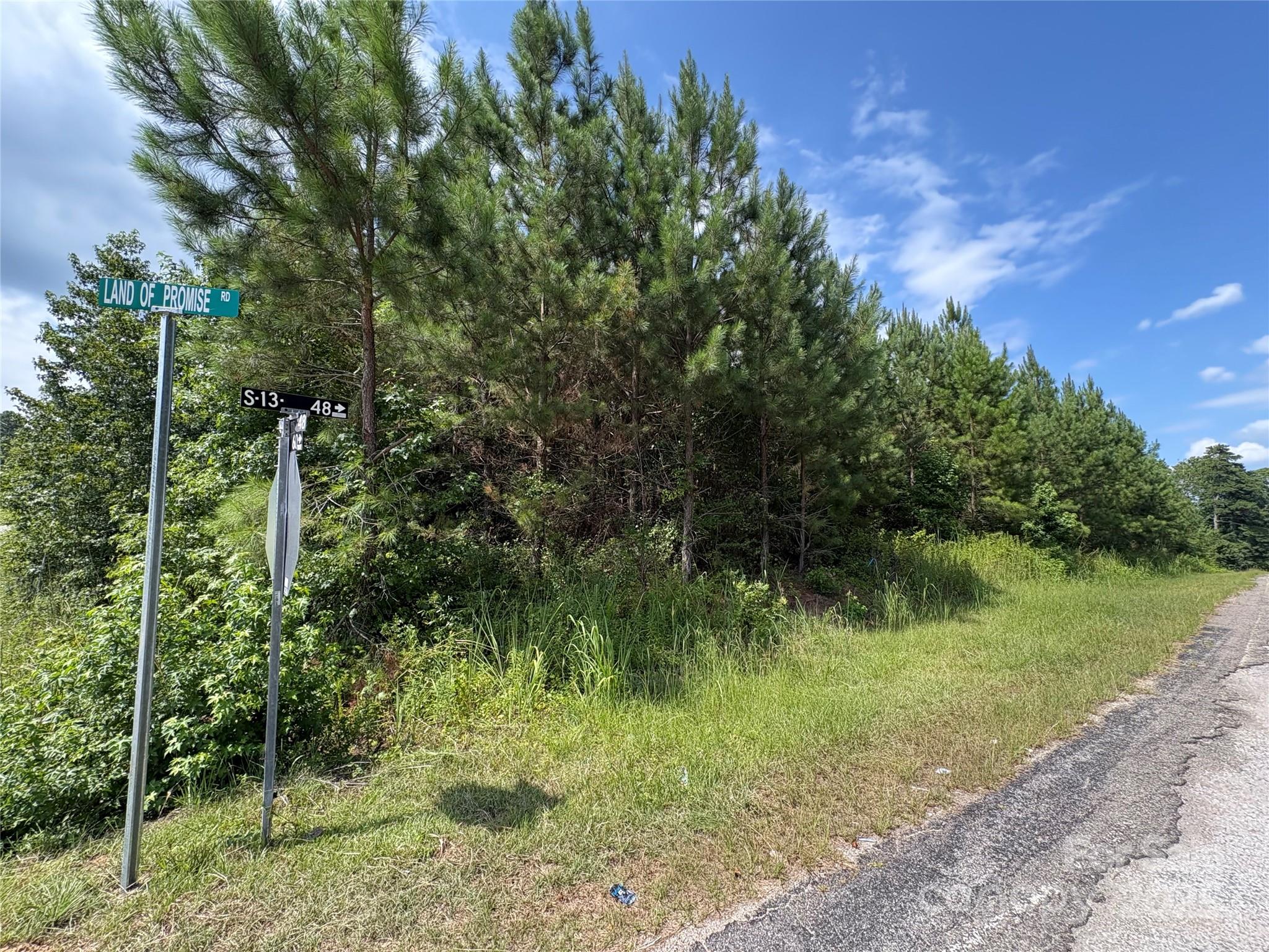 0 Jackson Road West Chesterfield, SC 29709 - Photo 14 of 18 a view of a lush green forest