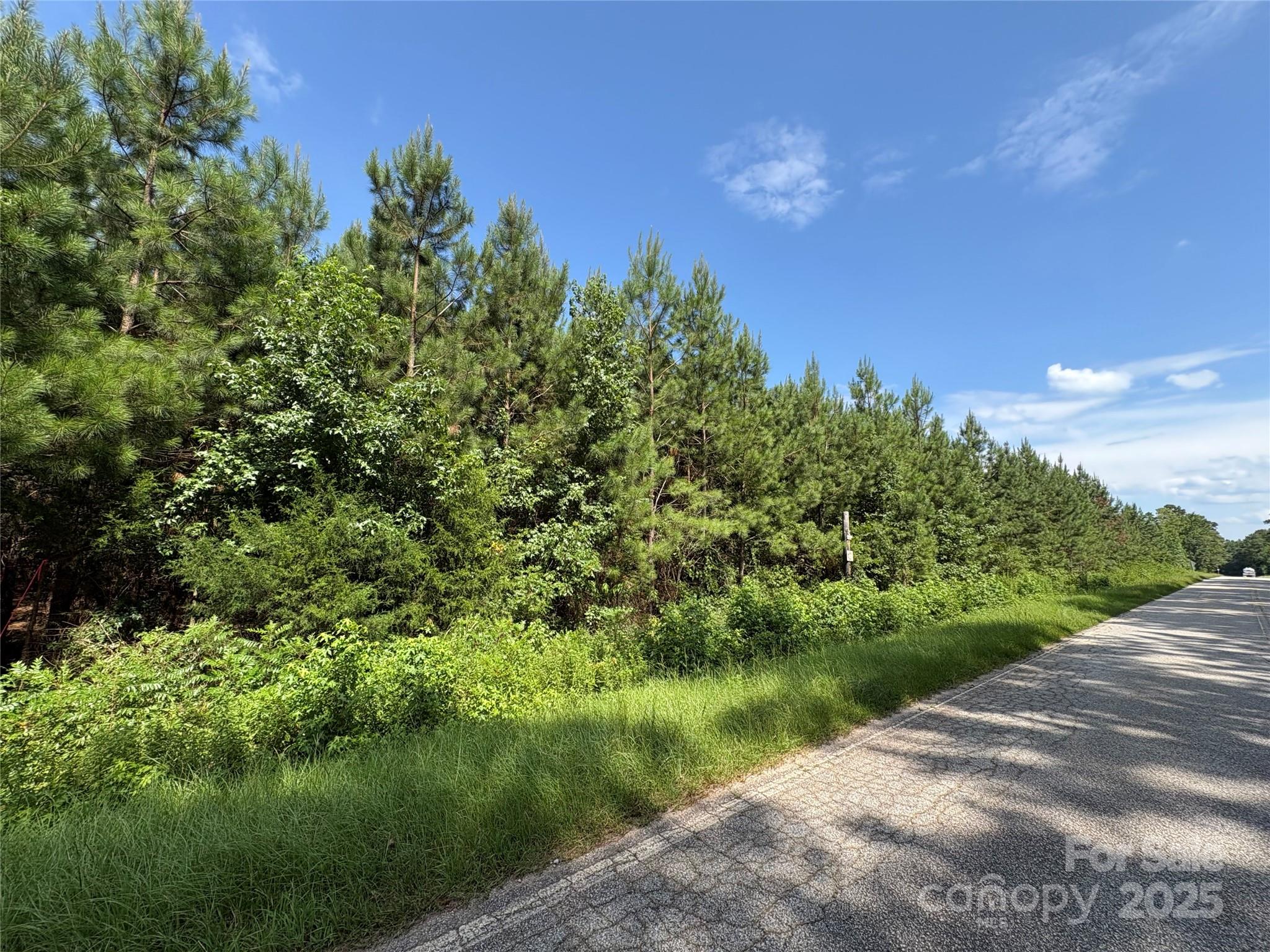 0 Jackson Road West Chesterfield, SC 29709 - Photo 15 of 18 a view of a lake and a yard