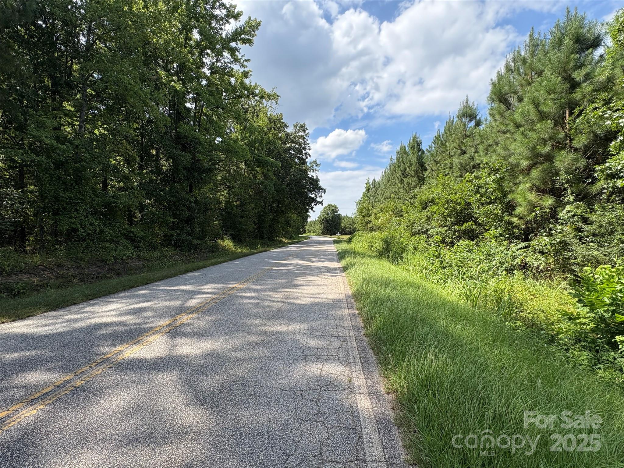 0 Jackson Road West Chesterfield, SC 29709 - Photo 16 of 18