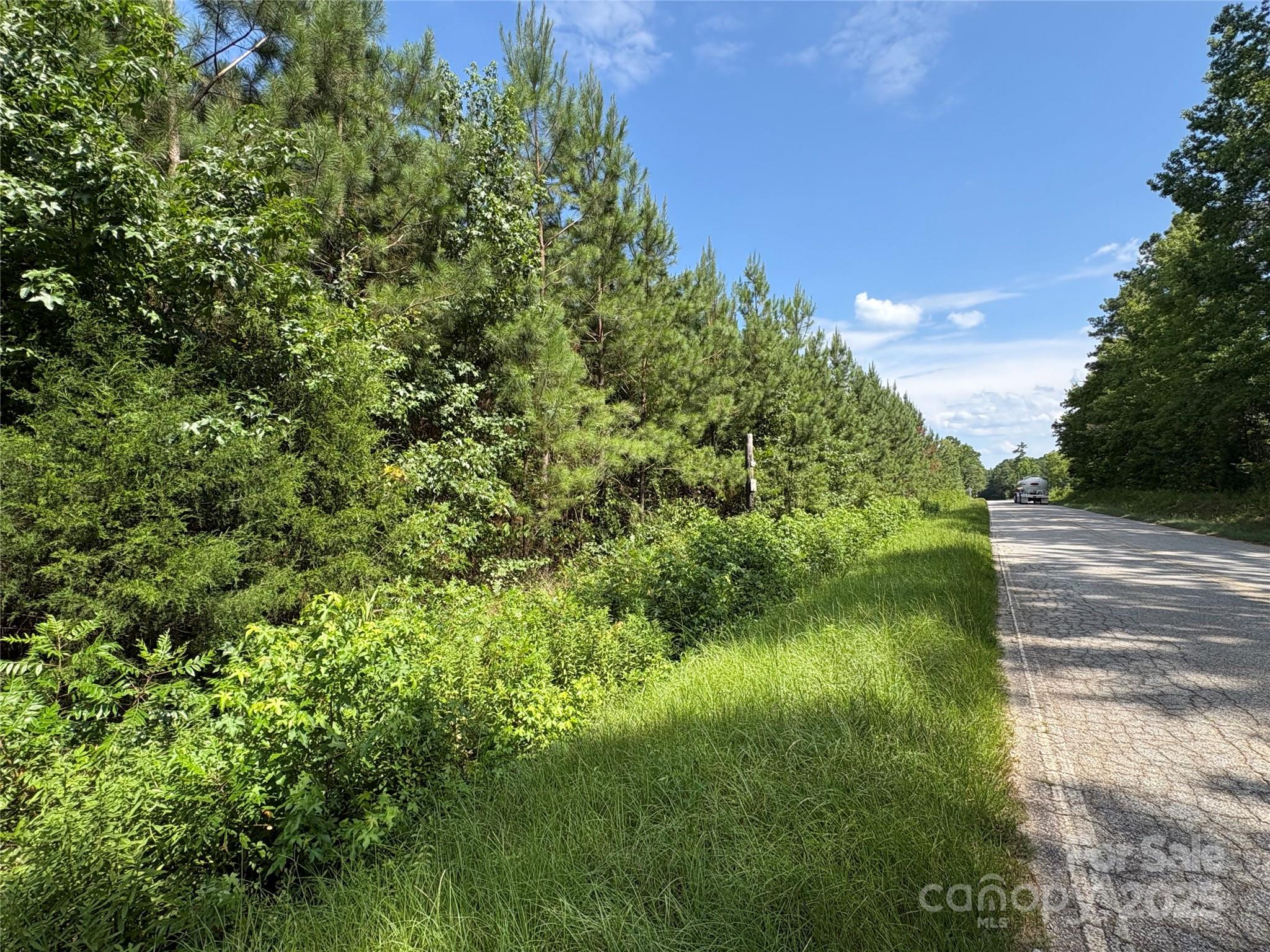 0 Jackson Road West Chesterfield, SC 29709 - Photo 17 of 18