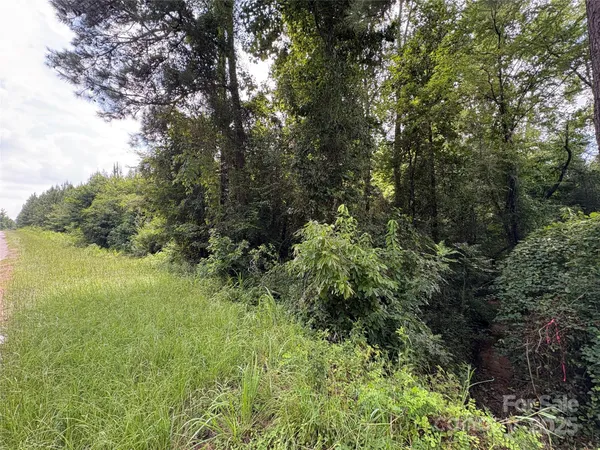 a view of a garden with a tree