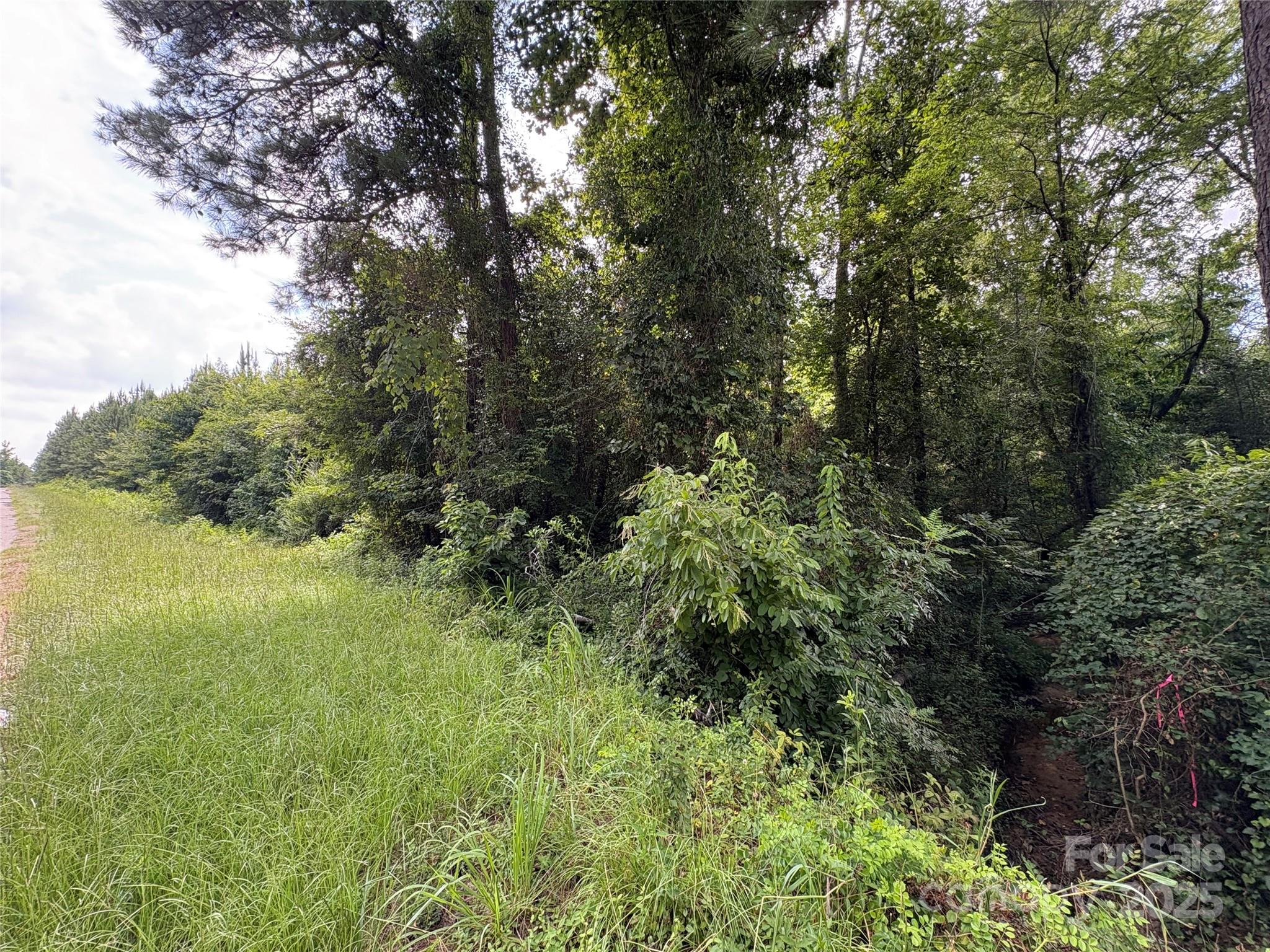 0 Jackson Road West Chesterfield, SC 29709 - Photo 3 of 18 a view of a garden with a tree
