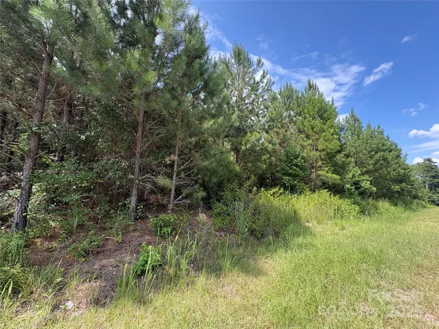 a view of a lush green space