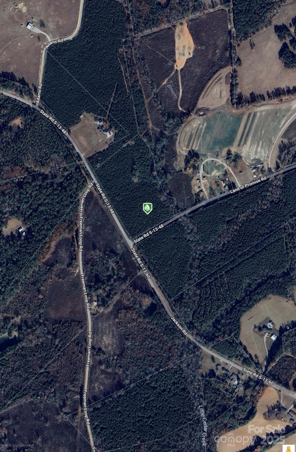 0 Jackson Road West Chesterfield, SC 29709 - Photo 7 of 18 a room with a wooden floor