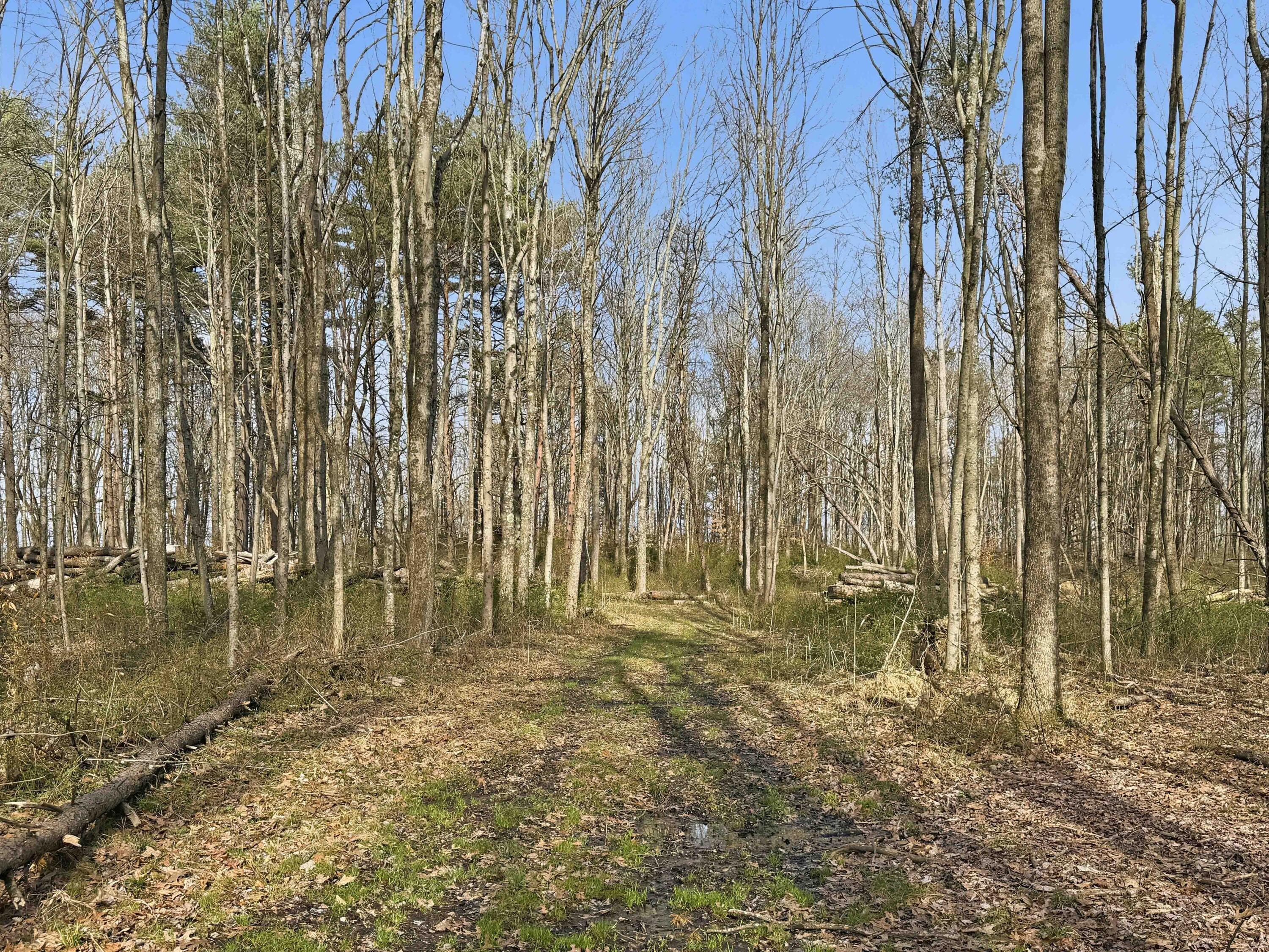 22470 Griffith Road Logan, OH 43138 - Photo 20 of 29 Griffith Rd-20