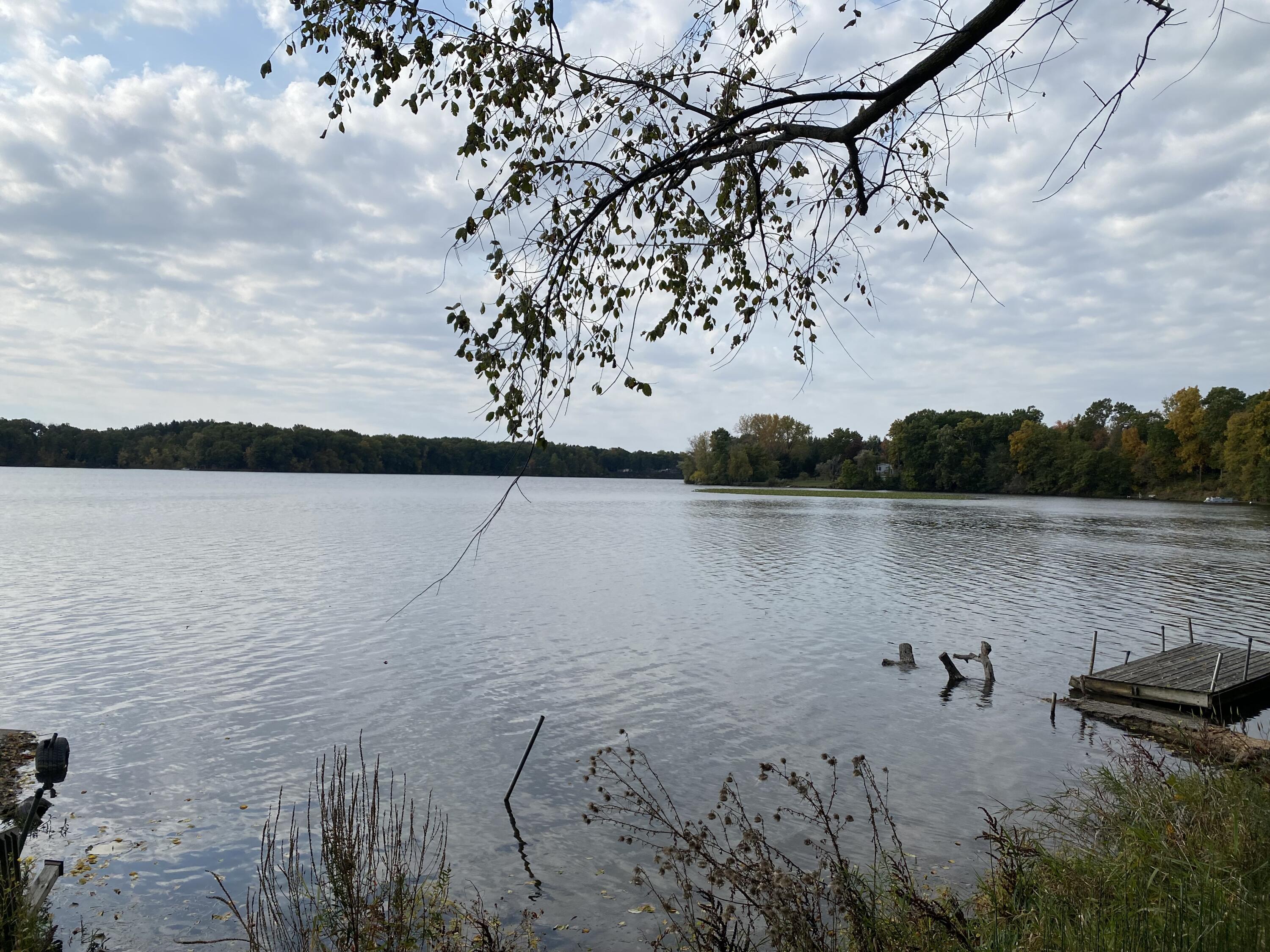 58141 James Drive Three Rivers, MI 49093 - Photo 17 of 17 IMG_4235